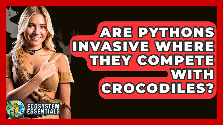 Are Pythons Invasive Where They Compete With Crocodiles? - Ecosystem Essentials