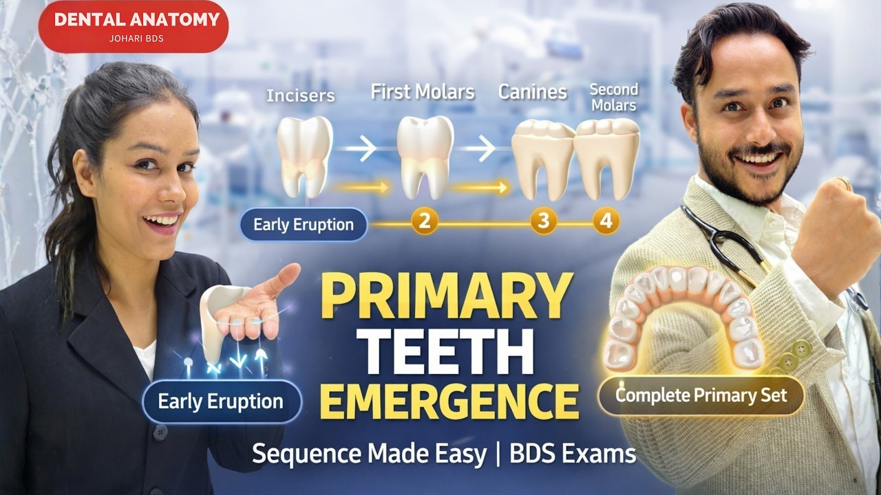 Sequence of Emergence of Primary Teeth Explained | Deciduous Dentition & Tooth Eruption