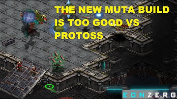 THE NEW MUTA BUILD VS PROTOSS IS TOO GOOD