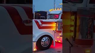 Adapting to Your Tech: Custom API Solutions for Logistics #shorts #shortvideo