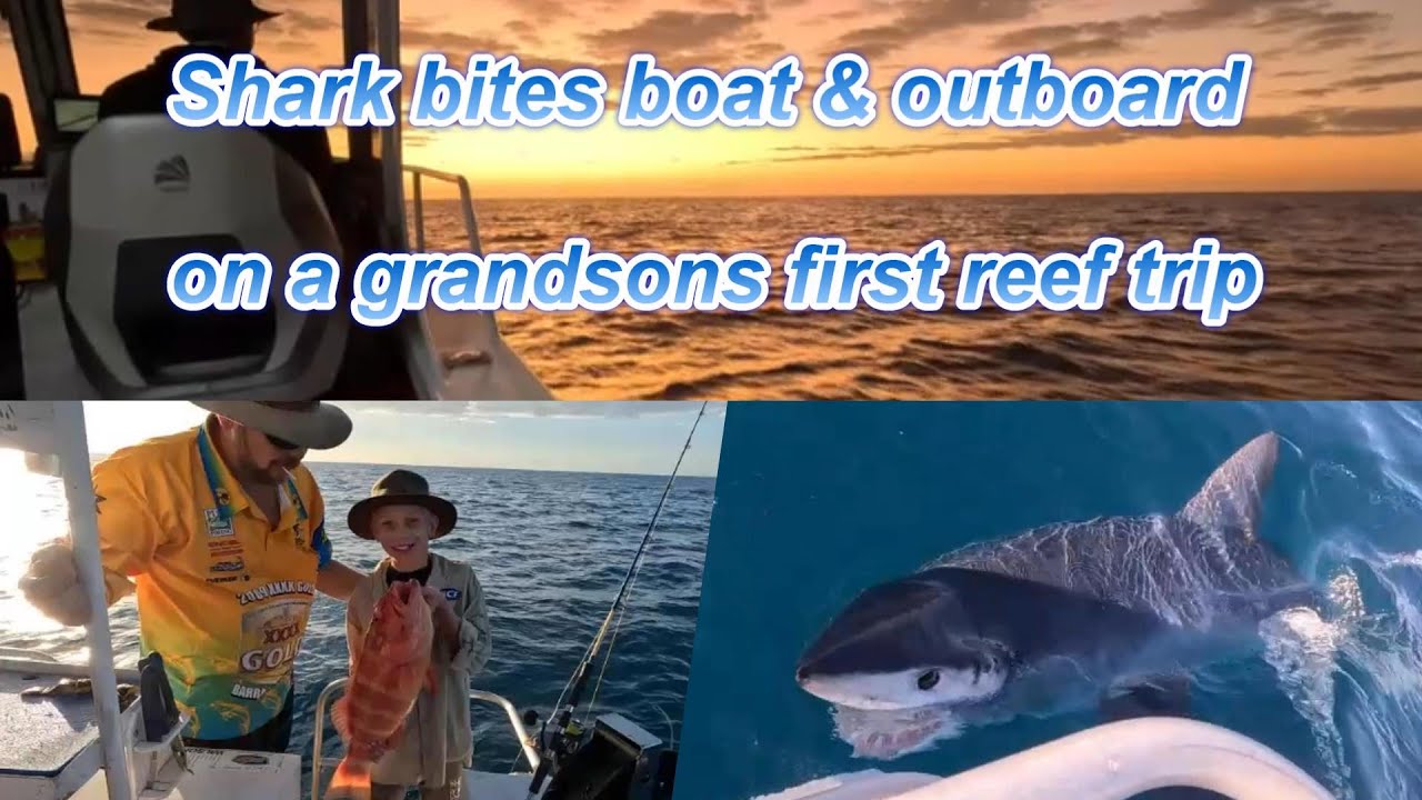 ️ Mako Shark bites my boat and outboard. YouTube