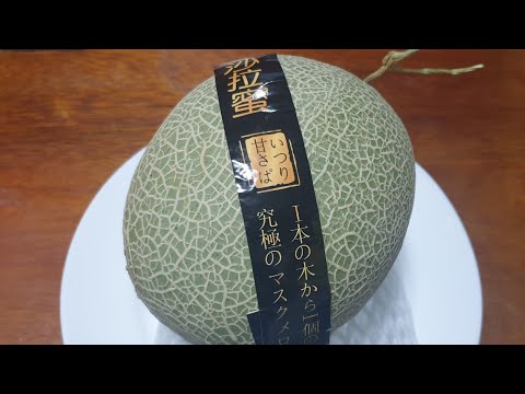 Japanese Musk Melon | Worth the Price?