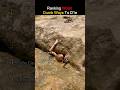 Ranking Worst Dumb Ways To Die