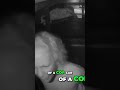 Arrested at Willie T's: Cop Car, Key West, and Sidewalk #shorts