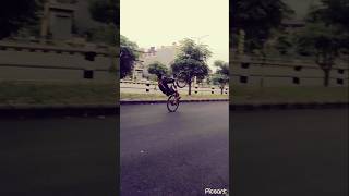 Crazy Wheelie
