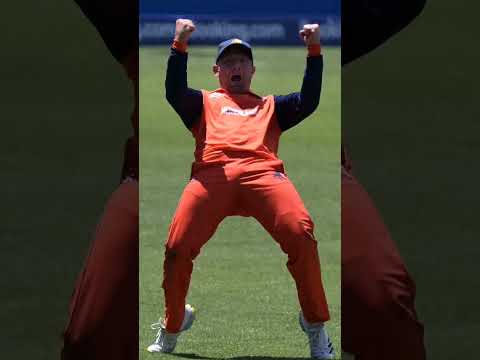 That Roelof van der Merwe catch was as good as... #cricket #Netherlands #SouthAfrica #SAvNED