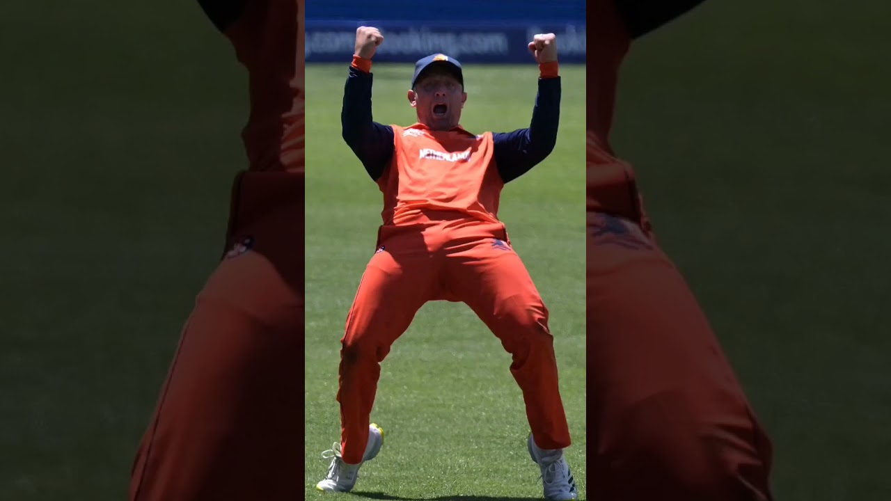 That Roelof van der Merwe catch was as good as… #cricket #Netherlands #SouthAfrica #SAvNED