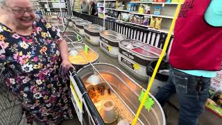 My Mamaw goes baby chick shopping!