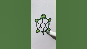 How to draw a tortoise 🐢 from a circle #shorts #arttricks #easytricks #drawinghacks #funshinepk