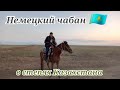 Самый настоящий Чабан Казахстана.