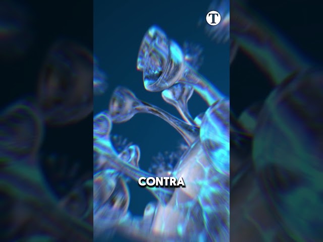 Video Coahuila refuerza la #salud  pública con campaña estatal de vacunación 2026  #noticias #vacaciones