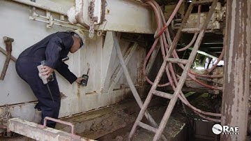 RAE Systems MeshGuard