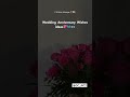 Wedding anniversary wishes ideas 🦋😍