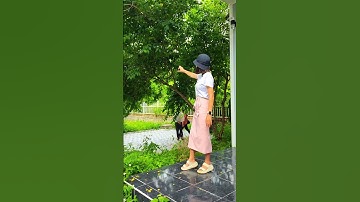 🌿 Ngỡ nghỉ dưỡng ở resort – hóa ra là nhà vườn Đà Lạt 2, giá siêu rẻ!(Sân vườn – đủ tiện nghi!)