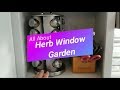 All About: Windowsill Herb Garden Kit