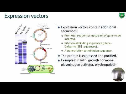 MB13 Recombinant Proteins 2025 2026 