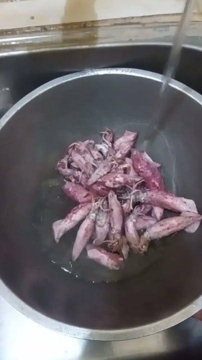 setuju ga bes kalo ini bikin nafsu mkn #fypシ゚viral #fypyoutube #fypp #fypshorts #cumiasin #fypviralシ