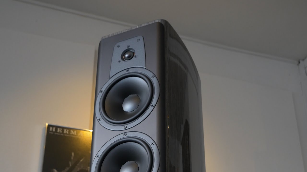 dynaudio contour