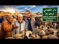 صدمة في سوق دار الكبداني الإقبال ضعيف قبل العيد على شراء الأضاحي والتجار يكشفون السبب  