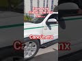 ANGUAS CANCUN #cat #yahritza #left #cancun