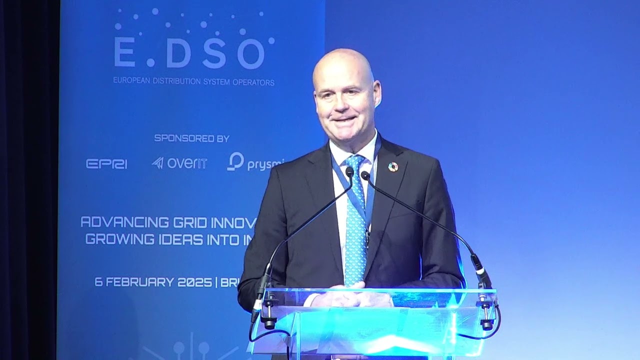 E.DSO 1st FutureGrid Innovation Summit   Part I