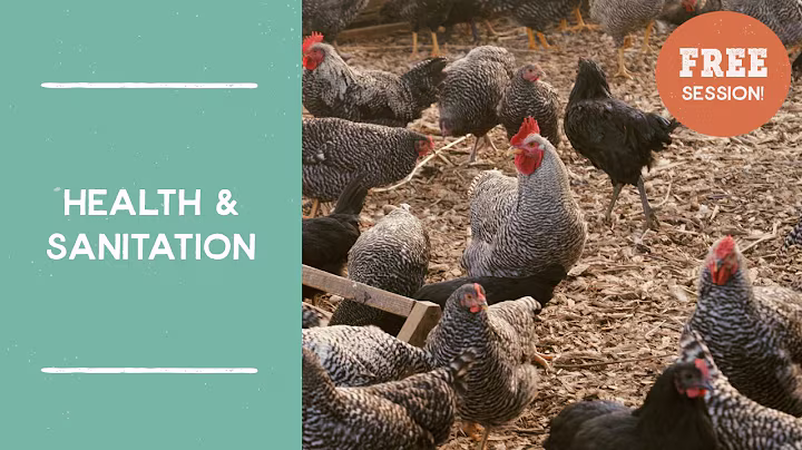 Health and Sanitation of Pastured Laying Hens | Farm Like a Lunatic with Joel Salatin