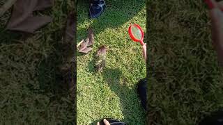 Why magnifying glass burn paper or leaf