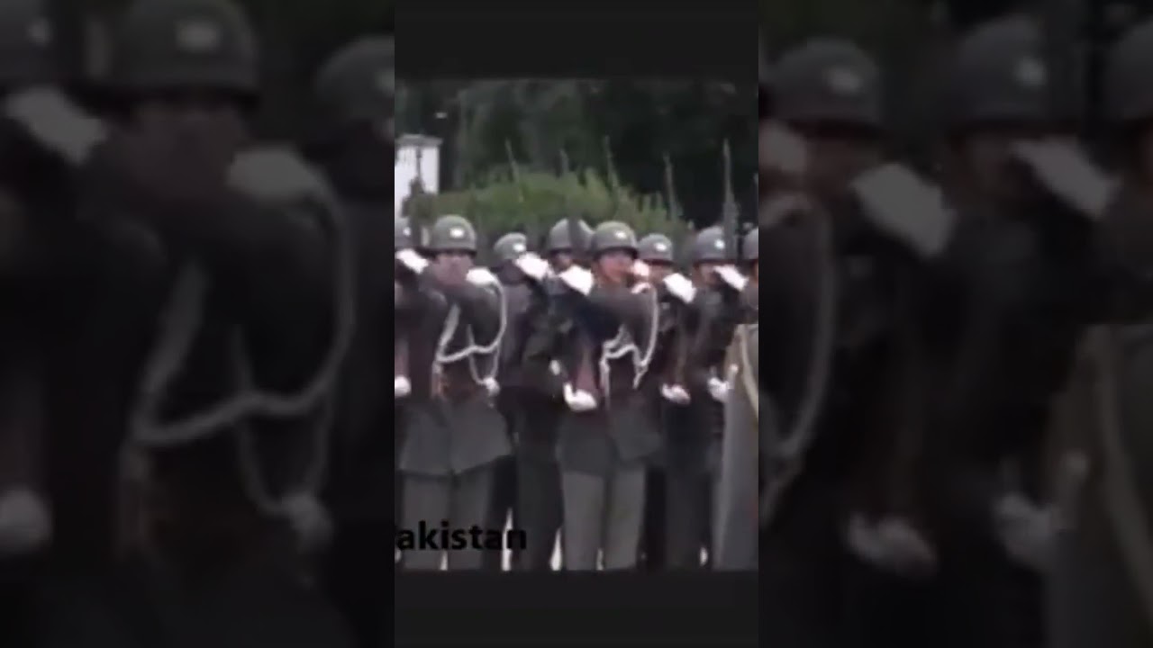 Austria army (OLD VIDEO)