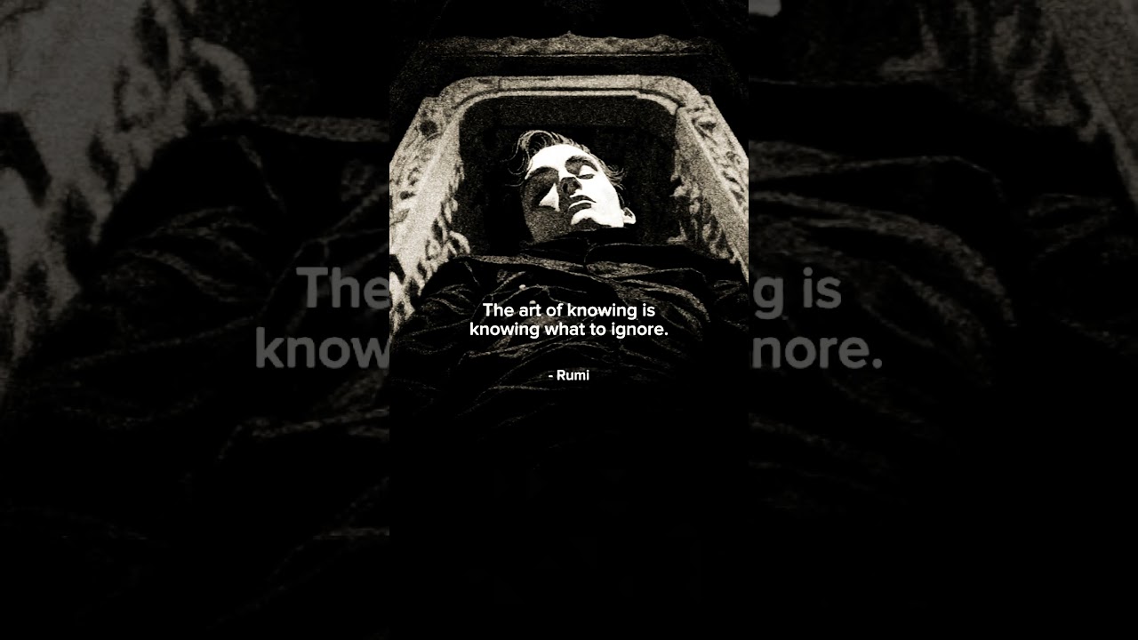 Real Wisdom? Knowing What to Ignore 💭🚫 