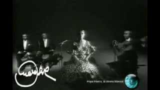 PEPA FLORES - TANGOS DE MÁLAGA chords