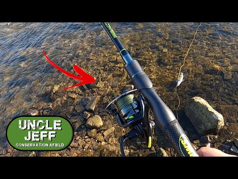 Lew's Reactor Spinning combo REVIEW!! 