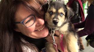 Cupcakes and Cuddles pop-up event for animals