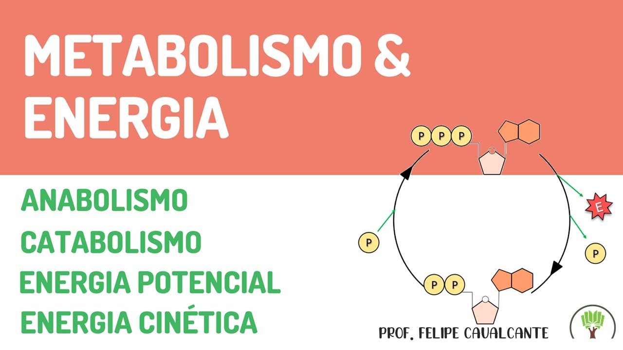 Metabolismo & Energia - Introdução aos processos metabólicos 
