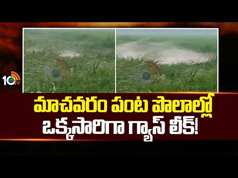 Machavaram Gas Leak Incident | మాచవరం పంట పొలాల్లో ఒక్కసారిగా గ్యాస్ లీక్! | 10TV - 10TVNEWSTELUGU