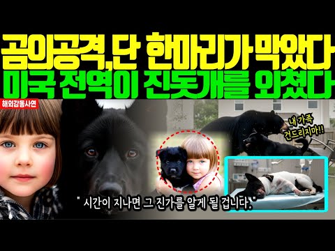 “흑곰에 맞선 한국진돗개의 진가, 미국 전역을 뒤흔든 충격의 순간”