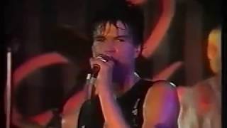 Die Toten Hosen - Police on my Back (live in Köln 04-06-1987 subtitulado aleman/Untertitel/lyrics)