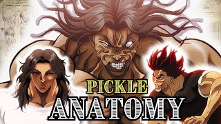 Pickle’s Anatomy Explained | Pickle Vs Yujiro Hanma | Pickle Fights Explained | Baki Anime | Pickle