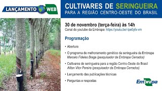 Cultivares de seringueira para a região Centro-Oeste do Brasil