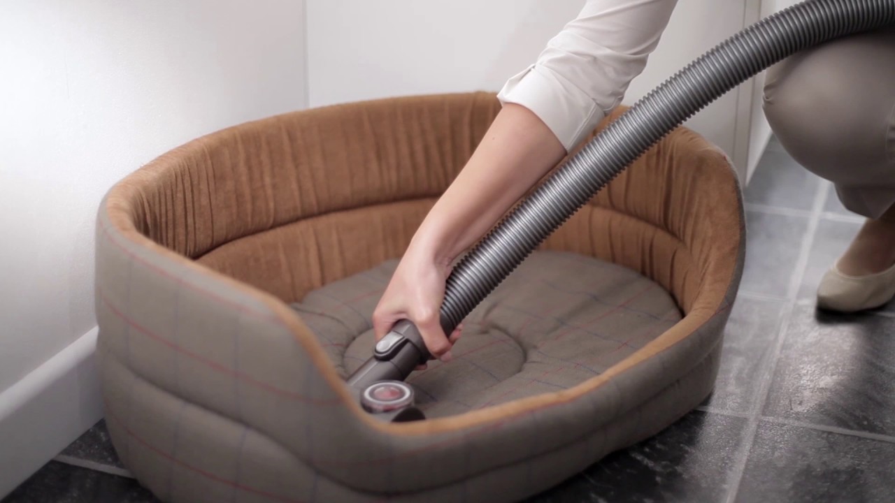 Dyson Tangle-free Turbine tool