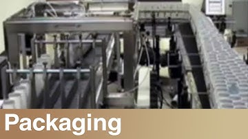 Shuttleworth - Paper Containers Single Rowing & Diverting Conveyor