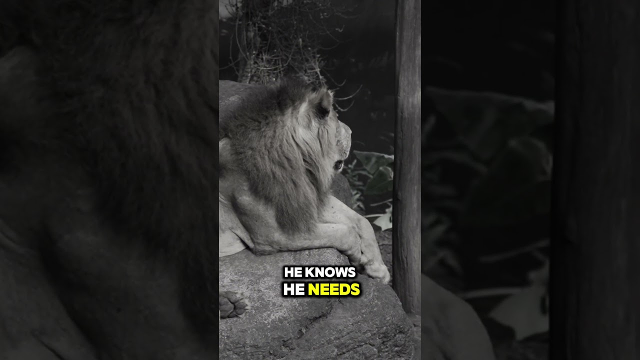 Difference between the Wise and the Foolish