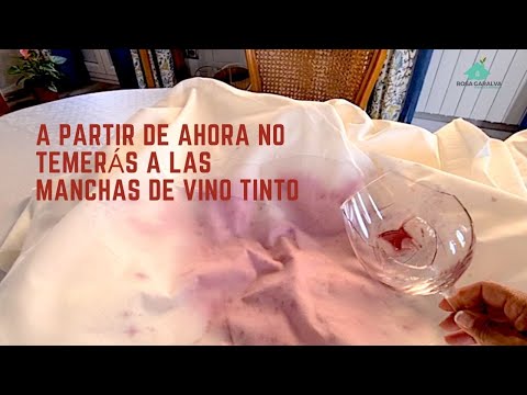 How to remove wine stains on clothes 🍷 Strategies for beginners