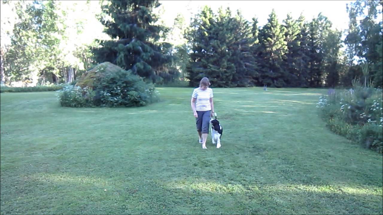 Sidbyte framför  vä hö