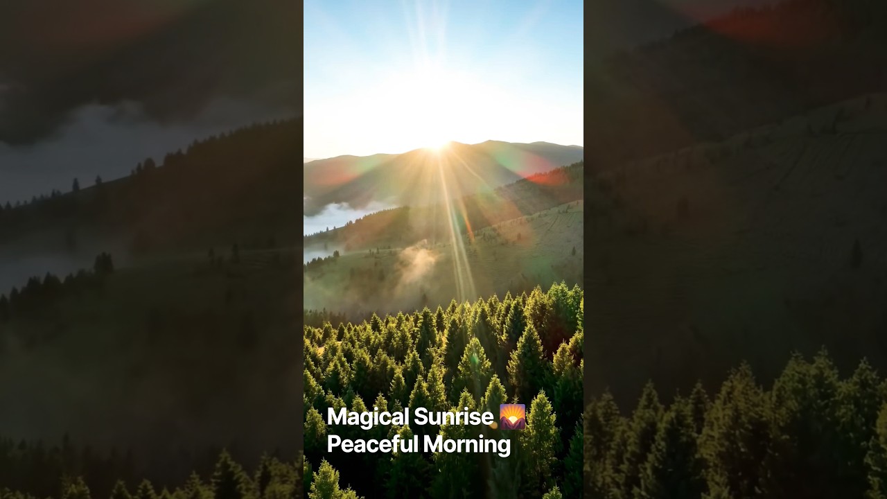 Watch Magical Sunrise Over the Mountains 🌄 | Morning Relaxing Music| Peaceful Morning on YouTube Watch Magical Sunrise Over the Mountains 🌄 | Morning Relaxing Music| Peaceful Morning on YouTube