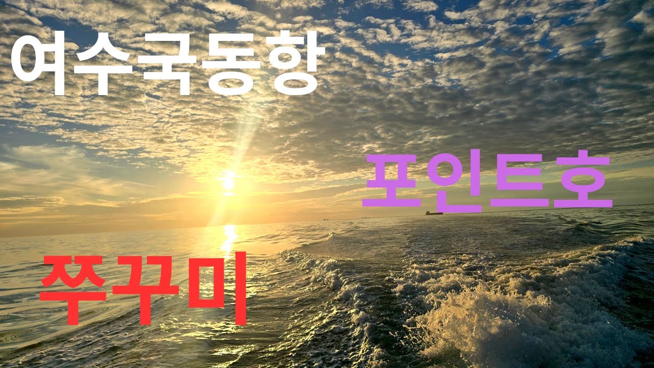 2월13일  30항차  알 쭈꾸미 #해이리&때루 #안선장애기#포인트호#쭈꾸미