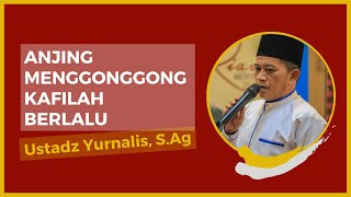 Download Lagu Anjing Menggonggong Kafilah Berlalu Mp3 Video Gratis