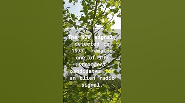 The Quest for Alien Life: A Look at SETI