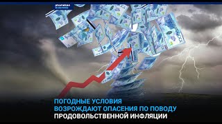 Погодные Условия Возрождают Опасения По Поводу Продовольственной Инфляции / I-Sanj