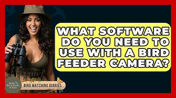 What Software Do You Need To Use With A Bird Feeder Camera? - Bird Watching Diaries