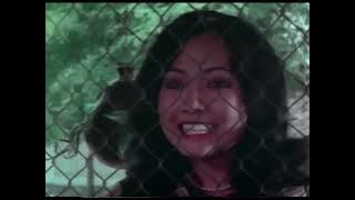 Benyamin S - Raje Lenong 1975